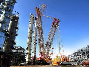 王民 對(duì)中國(guó)工程機(jī)械與食品機(jī)械的明天充滿信心